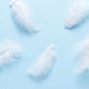 Meet your Posher, Natanatalie